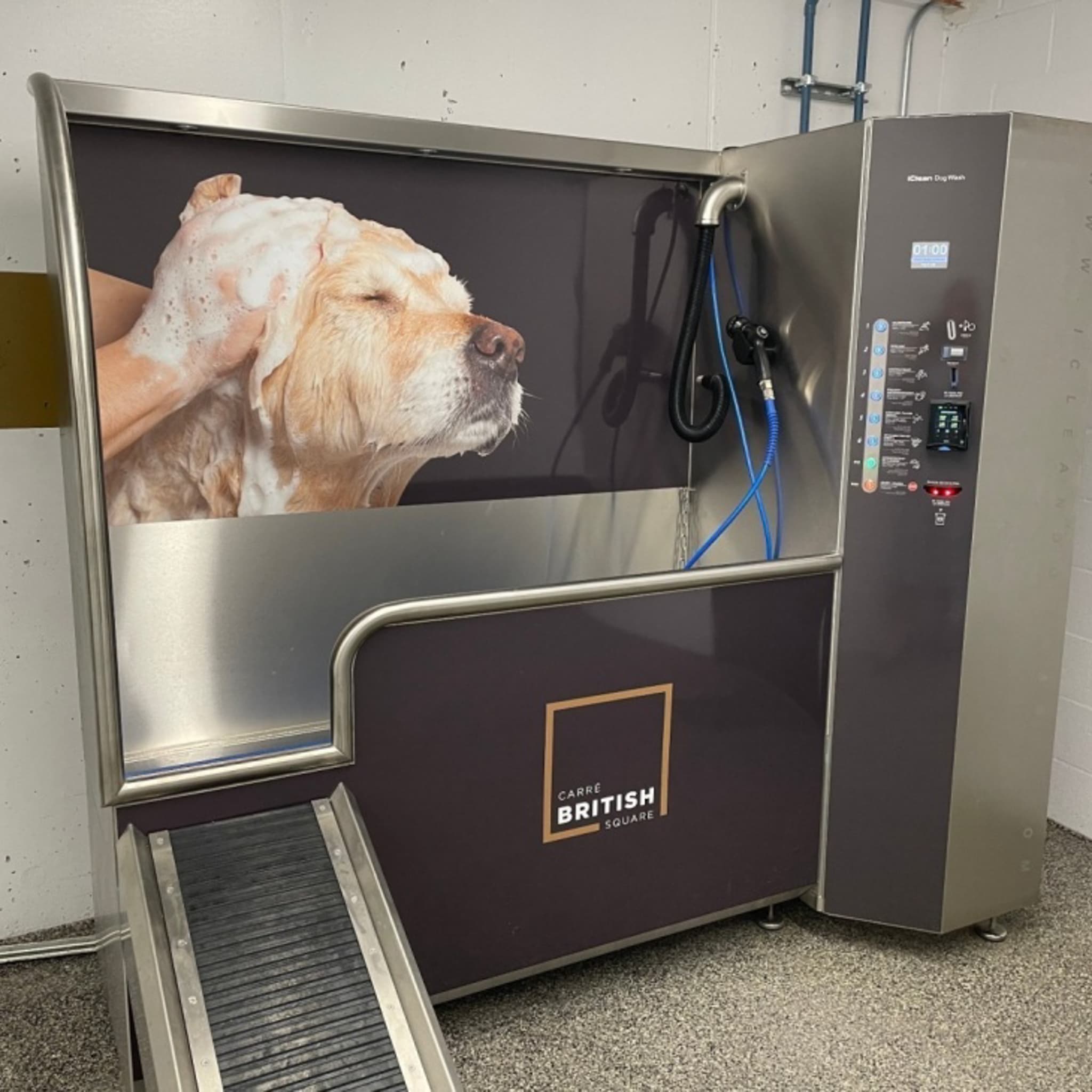 Station de toilettage pour chiens du Carré British